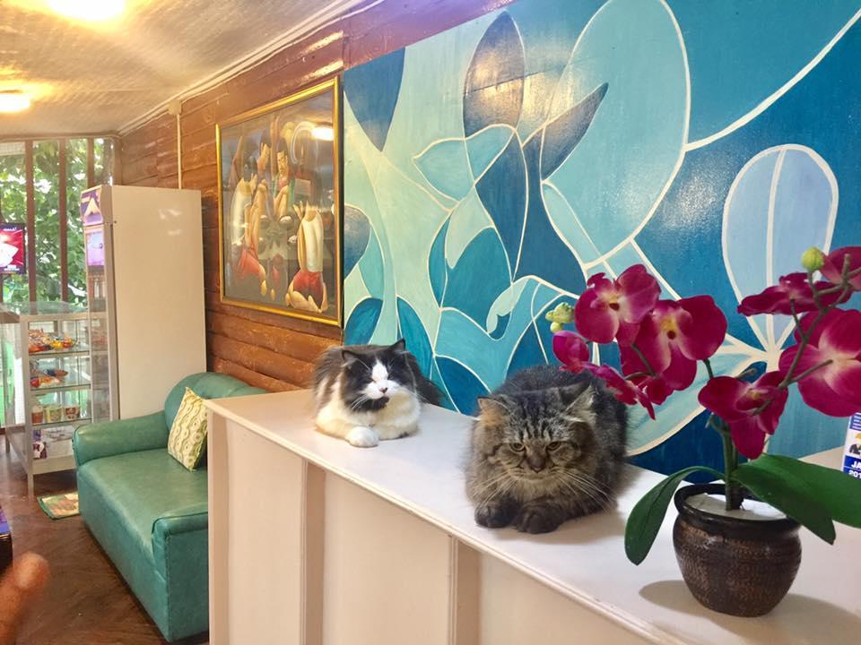 Ace Traveller'S Inn Пуэрто-Принцеса Экстерьер фото